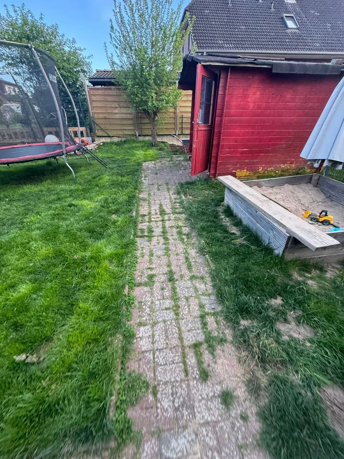 Verwilderter Gartenweg vor der Sanierung durch Heimsteinbau
